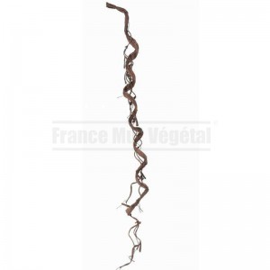 http://www.materiel-mur-vegetal.fr/1676-4038-thickbox/liane-artificielle-large-marron-150cm.jpg