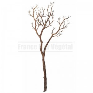 http://www.materiel-mur-vegetal.fr/1677-4040-thickbox/branche-artificielle-marron-105cm.jpg