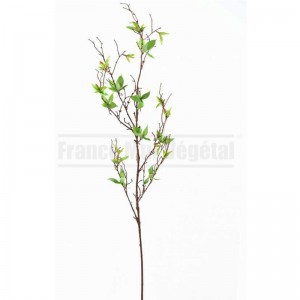 http://www.materiel-mur-vegetal.fr/1678-4042-thickbox/branche-artificielle-marron-120cm-avec-feuilles-vertes.jpg