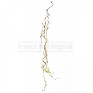 http://www.materiel-mur-vegetal.fr/1680-4045-thickbox/liane-artificielle-avec-mousse-120cm.jpg