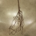Branche fine artificielle avec racines 100cm