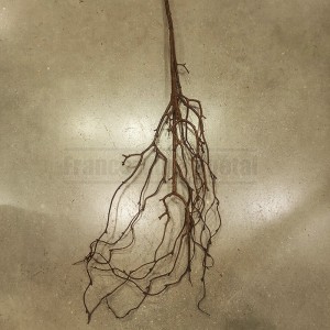 http://www.materiel-mur-vegetal.fr/1681-4048-thickbox/branche-fine-artificielle-avec-racines-100cm.jpg