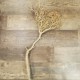 Branche séchée bois blanchi 60-70cm