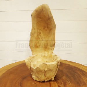http://www.materiel-mur-vegetal.fr/1692-4070-thickbox/pot-sculpte-dans-un-tronc-en-bois-de-suar-modele-1.jpg