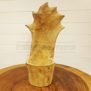 http://www.materiel-mur-vegetal.fr/1693-4072-thickbox/pot-sculpte-dans-un-tronc-en-bois-de-suar-modele-2.jpg