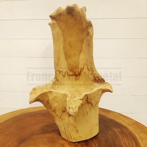 http://www.materiel-mur-vegetal.fr/1694-4074-thickbox/pot-sculpte-dans-un-tronc-en-bois-de-suar-modele-3.jpg
