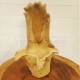 Pot sculpté dans un tronc en bois de Suar (modèle 3)