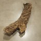 Tronc branche écorce de liège 60-70cm Ø15cm