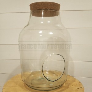 http://www.materiel-mur-vegetal.fr/1745-4151-thickbox/terrarium-en-verre-o24cm-ht35cm-avec-ouverture.jpg