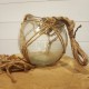 Terrarium boule en verre Ø18cm avec filet à suspendre