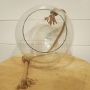 Terrarium boule en verre Ø20cm avec corde à suspendre
