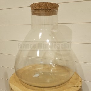 http://www.materiel-mur-vegetal.fr/1749-4156-thickbox/terrarium-fiole-en-verre-29x29x34cm-avec-bouchon-liege.jpg