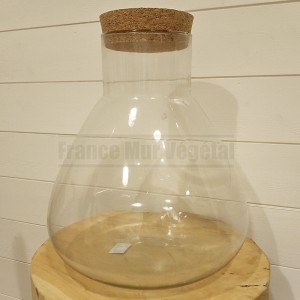 http://www.materiel-mur-vegetal.fr/1749-4156-thickbox/terrarium-fiole-en-verre-29x29x34cm-avec-bouchon-liege.jpg