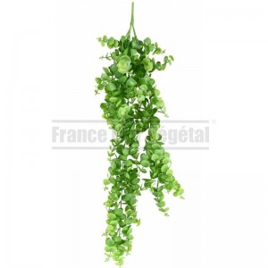 http://www.materiel-mur-vegetal.fr/1793-4215-thickbox/chute-eucalyptus-artificiel-80cm-sur-pique.jpg