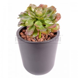 http://www.materiel-mur-vegetal.fr/1795-4217-thickbox/succulente-artificielle-o15cm-sur-pique.jpg