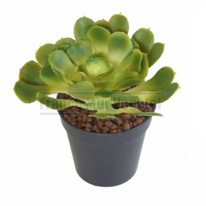 http://www.materiel-mur-vegetal.fr/1796-4218-thickbox/aloe-artificiel-o15cm-sur-pique.jpg