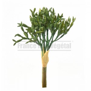 http://www.materiel-mur-vegetal.fr/1797-4219-thickbox/rhipsalis-artificiel-o10cm-sur-pique.jpg
