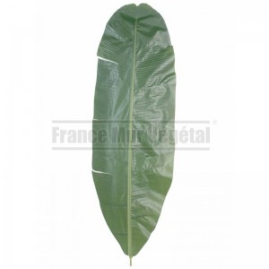 http://www.materiel-mur-vegetal.fr/1800-4222-thickbox/feuille-de-bananier-artificiel-70cm.jpg