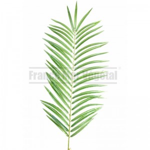 http://www.materiel-mur-vegetal.fr/1801-4223-thickbox/palme-de-phoenix-artificiel-60cm.jpg