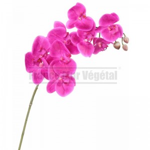 http://www.materiel-mur-vegetal.fr/1805-4227-thickbox/phalaenopsis-artificiel-fuchsia-98cm-sur-tige.jpg