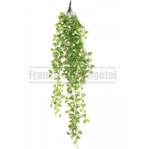 http://www.materiel-mur-vegetal.fr/1811-4234-thickbox/chute-tradescantia-vert-blanc-artificiel-85cm-sur-pique.jpg