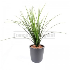 http://www.materiel-mur-vegetal.fr/1812-4236-thickbox/graminee-artificielle-onion-grass-55cm-sur-pique.jpg