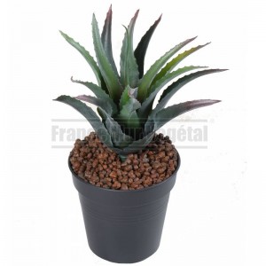 http://www.materiel-mur-vegetal.fr/1817-4241-thickbox/furcraea-artificiel-o18cm-sur-pique.jpg