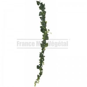 http://www.materiel-mur-vegetal.fr/1819-4243-thickbox/guirlande-lierre-artificiel-vert-180cm.jpg