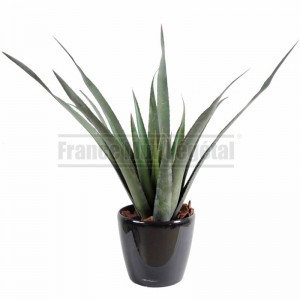 http://www.materiel-mur-vegetal.fr/1823-4250-thickbox/aloe-artificiel-65cm-en-pot-o17cm.jpg