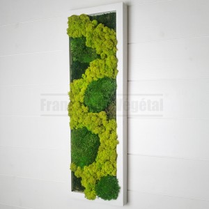 http://www.materiel-mur-vegetal.fr/1831-4259-thickbox/tableau-vegetal-stabilise-mousse-lichen-vert-citron-60x20cm.jpg