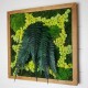 Tableau végétal stabilisé chêne 40x40cm fleurs & fougères