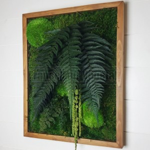 http://www.materiel-mur-vegetal.fr/1833-4261-thickbox/tableau-vegetal-stabilise-chene-50x40cm-natura-green.jpg