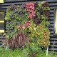 4 Kits Mur Végétal Extérieur Flowall Blanc 42x40cm avec 40 plantes
