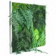 Tableau végétal stabilisé PicaGreen 60x60cm