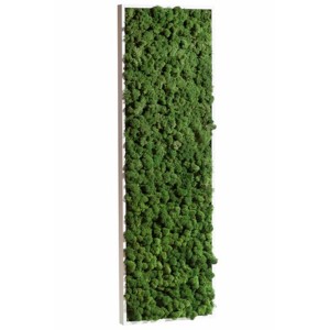 http://www.materiel-mur-vegetal.fr/402-779-thickbox/tableau-vegetal-stabilise-lichen-vert-nature-demi-maxi-114x36cm.jpg