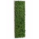 Tableau végétal stabilisé Lichen Vert Nature Demi-Maxi 114x36cm