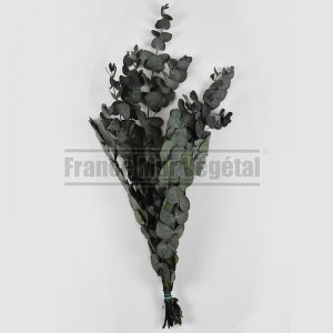 http://www.materiel-mur-vegetal.fr/651-3140-thickbox/eucalyptus-spiralus-stabilise-vert-100gr.jpg