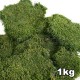 Mousse plate stabilisée Premium Vert 1kg