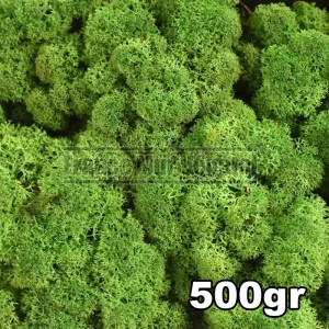 http://www.materiel-mur-vegetal.fr/827-3210-thickbox/lichen-scandinave-stabilise-vert-foret-500gr.jpg