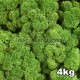 Lichen Scandinave stabilisé Vert Forêt 4kg