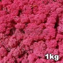 Lichen Scandinave stabilisé Rose Fuchsia 1kg