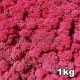 Lichen Scandinave stabilisé Rose Fuchsia 1kg