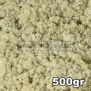 http://www.materiel-mur-vegetal.fr/841-3198-thickbox/lichen-scandinave-stabilise-naturel-500gr.jpg
