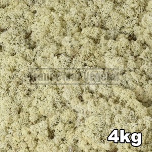 http://www.materiel-mur-vegetal.fr/842-3200-thickbox/lichen-scandinave-stabilise-naturel-4kg.jpg