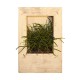Cadre végétal Wooden Blanc 15x10cm (sans plantes)
