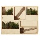 Cadre Etagère végétale Wooden Blanc 38x29cm avec Succulentes