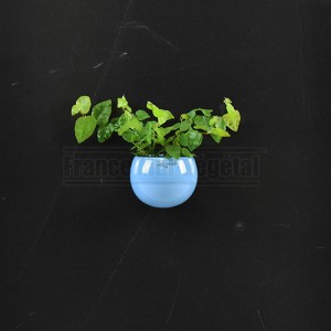 http://www.materiel-mur-vegetal.fr/968-3536-thickbox/cache-pot-magnetique-o8cm-bleu.jpg