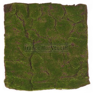http://www.materiel-mur-vegetal.fr/995-2959-thickbox/plaque-de-mousse-artificielle-50x50cm.jpg