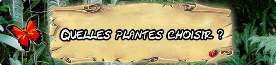 Quelles plantes choisir ?
