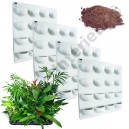 4 Kits Mur Végétal Flowall Blanc 42x40cm avec plantes